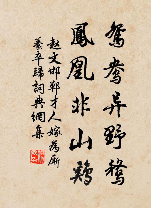 赵文鸳鸯异野鹜，凤凰非山鸡书法作品欣赏
