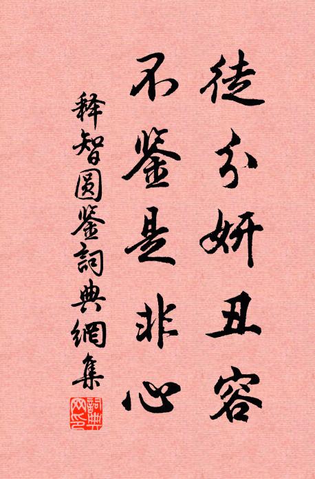 释智圆徒分妍丑容，不鉴是非心书法作品欣赏