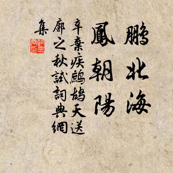 辛弃疾鹏北海,凤朝阳。书法作品欣赏