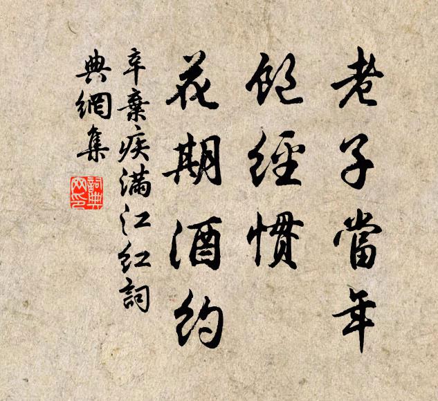 辛弃疾老子当年，饱经惯、花期酒约书法作品欣赏