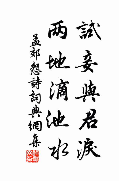 孟郊试妾与君泪，两地滴池水书法作品欣赏