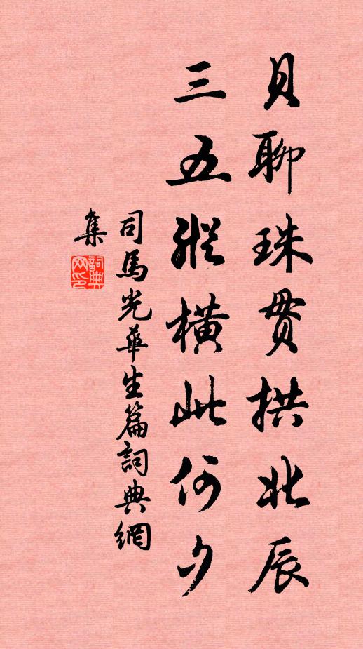 司马光贝聊珠贯拱北辰，三五纵横此何夕书法作品欣赏