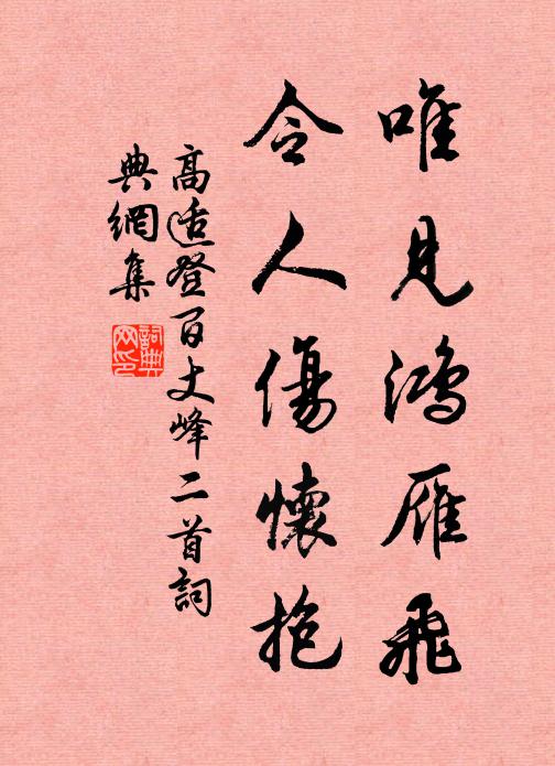高适唯见鸿雁飞,令人伤怀抱。书法作品欣赏