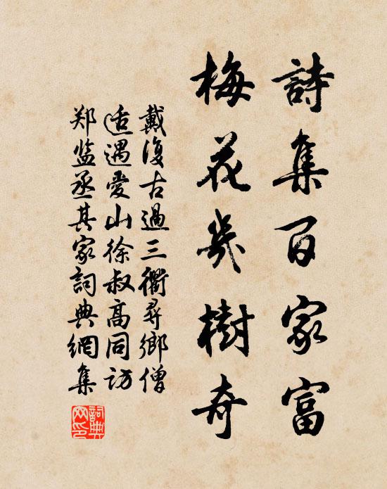 戴复古诗集百家富，梅花几树奇书法作品欣赏