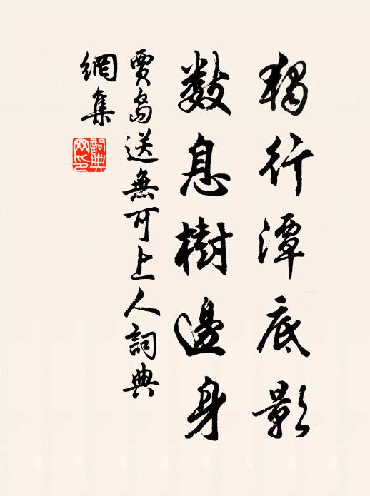 贾岛独行潭底影,数息树边身。书法作品欣赏