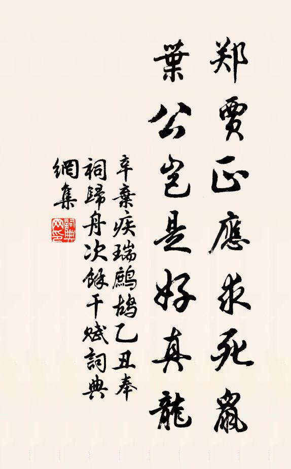 辛弃疾郑贾正应求死鼠，叶公岂是好真龙书法作品欣赏