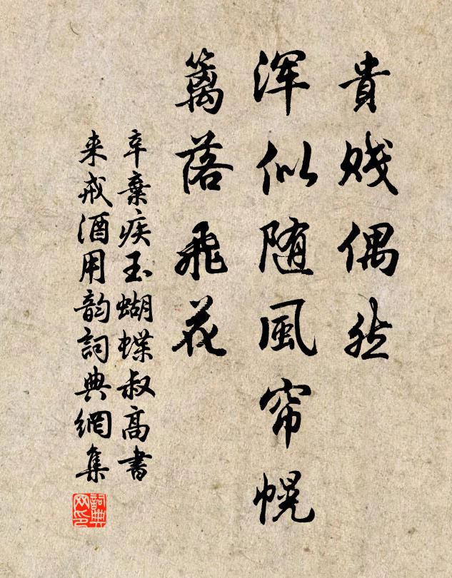 辛弃疾贵贱偶然，浑似随风帘幌，篱落飞花书法作品欣赏