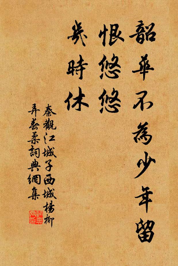 秦观韶华不为少年留，恨悠悠，几时休？书法作品欣赏