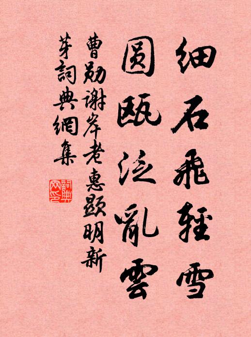 曹勋细石飞轻雪，圆瓯泛乱云书法作品欣赏