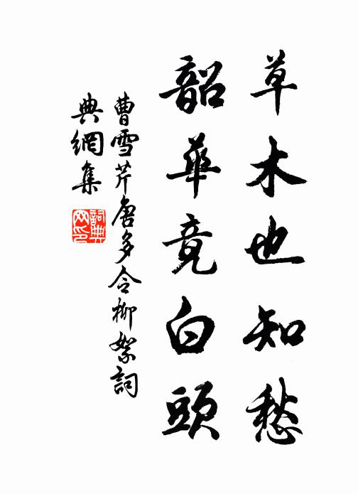 曹雪芹草木也知愁,韶华竟白头。书法作品欣赏