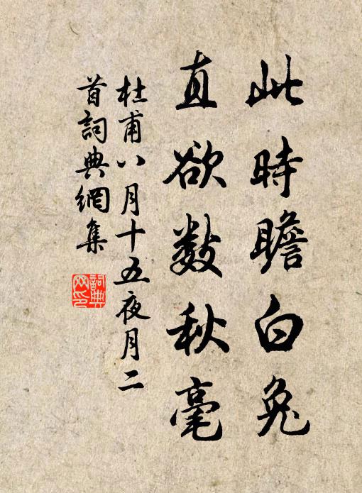 杜甫此时瞻白兔，直欲数秋毫。书法作品欣赏