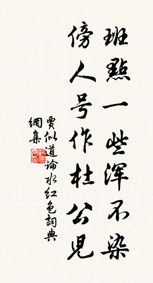 贾似道班点一些浑不染，傍人号作杜公儿书法作品欣赏