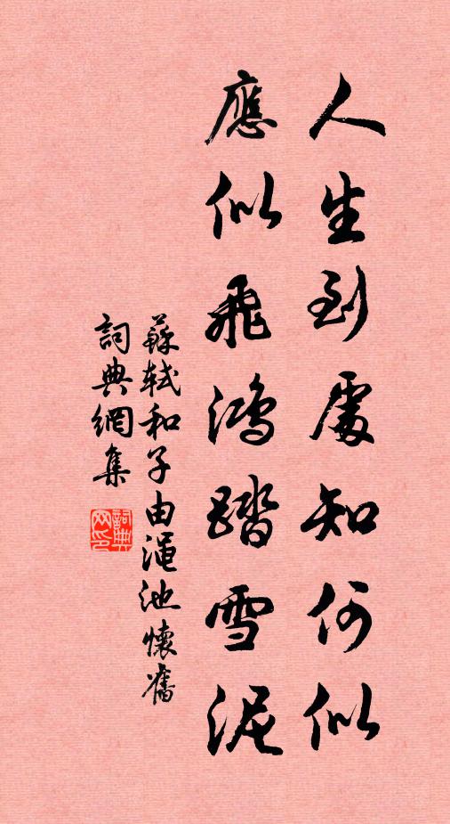 苏轼人生到处知何似,应似飞鸿踏雪泥。书法作品欣赏