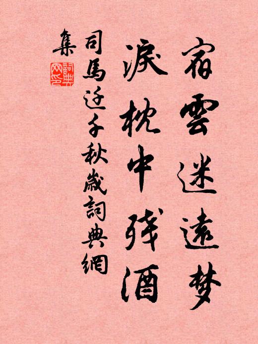 司马迁宿云迷远梦，泪枕中残酒书法作品欣赏