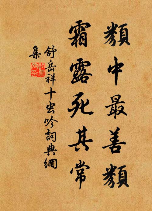 舒岳祥类中最善类，霜露死其常书法作品欣赏