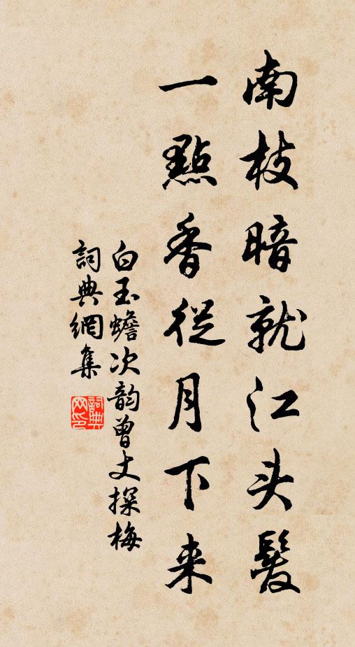 白玉蟾南枝暗就江头发，一点香从月下来书法作品欣赏