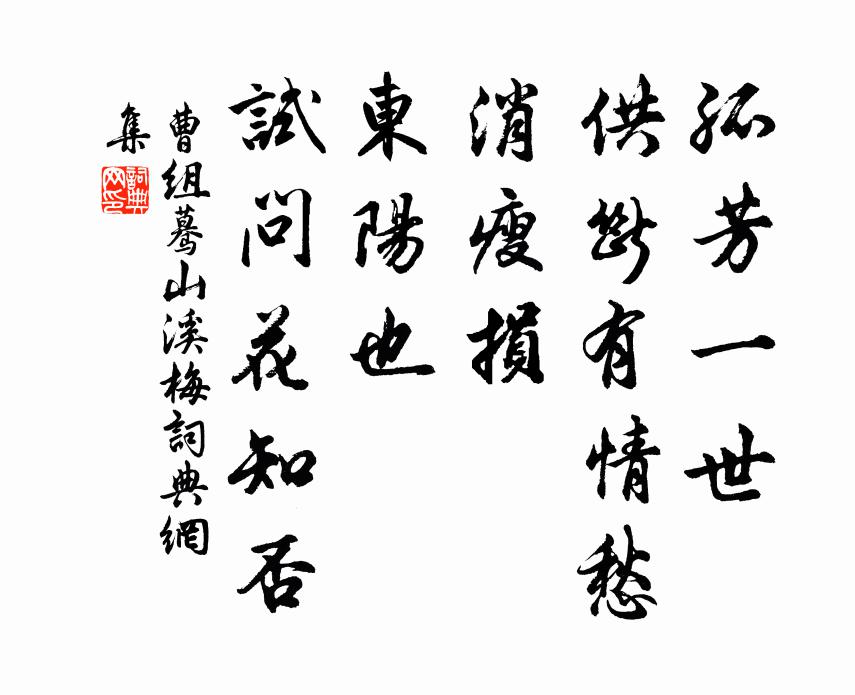 曹组孤芳一世，供断有情愁，消瘦损，东阳也，试问花知否书法作品欣赏