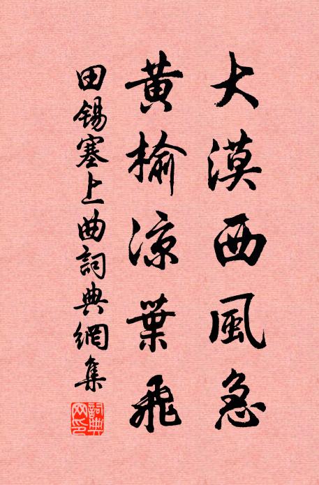 田锡大漠西风急，黄榆凉叶飞。书法作品欣赏