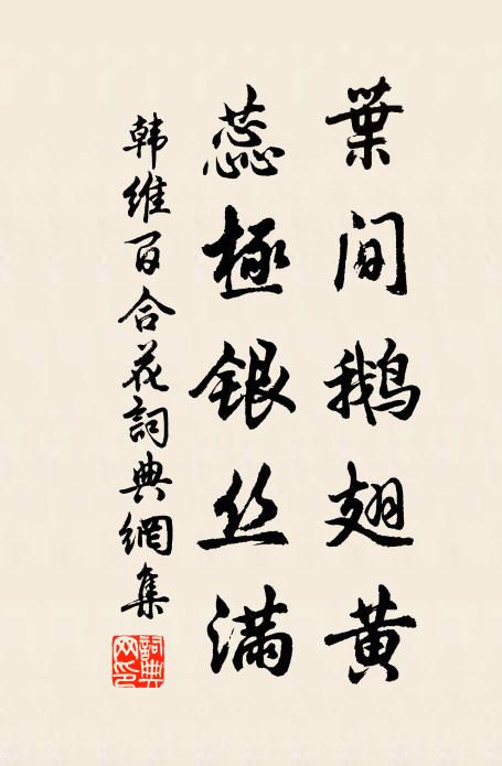 韩维叶间鹅翅黄，蕊极银丝满书法作品欣赏