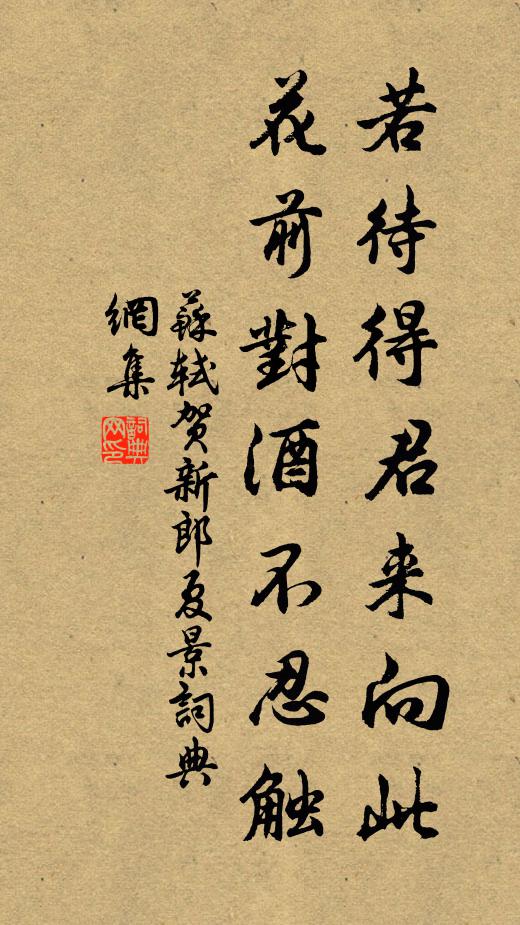 苏轼若待得君来向此,花前对酒不忍触。书法作品欣赏
