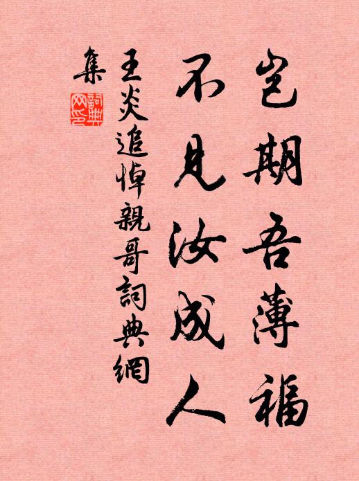 王炎岂期吾薄福，不见汝成人书法作品欣赏