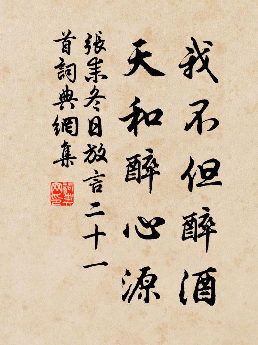 张耒我不但醉酒，天和醉心源书法作品欣赏