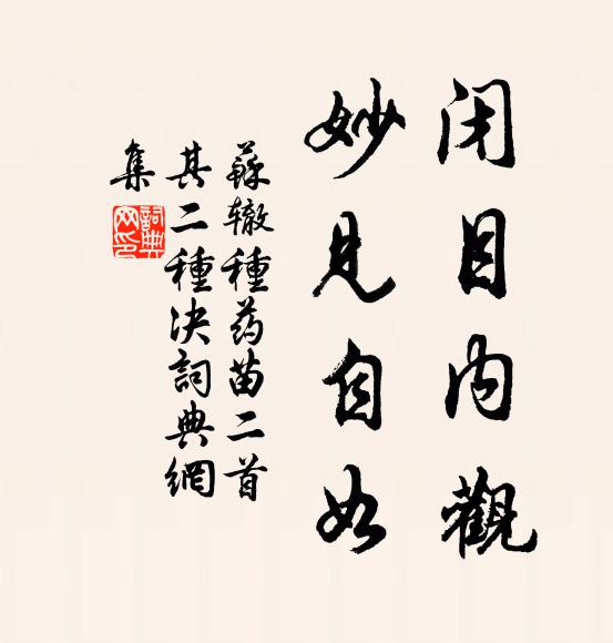苏辙闭目内观，妙见自如书法作品欣赏