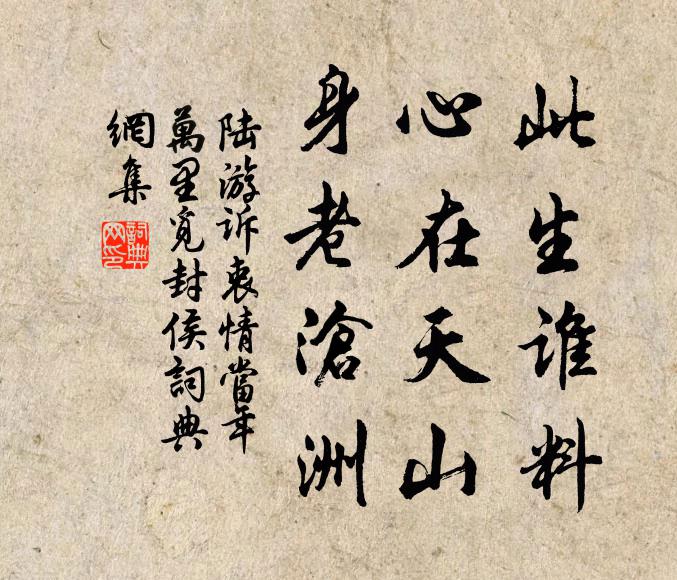 陆游此生谁料,心在天山,身老沧洲。书法作品欣赏