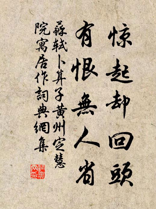 苏轼惊起却回头,有恨无人省。书法作品欣赏