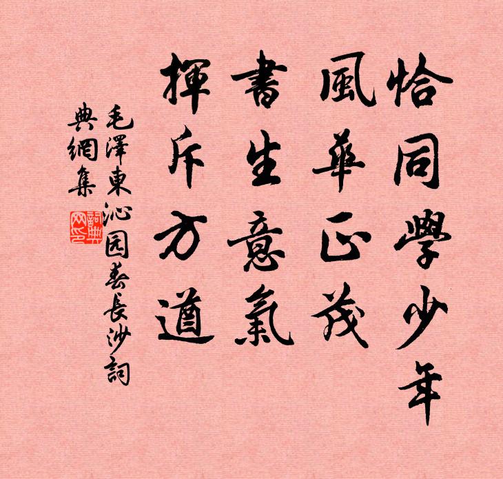恰同学少年，风华正茂；书生意气，挥斥方遒。书法作品欣赏