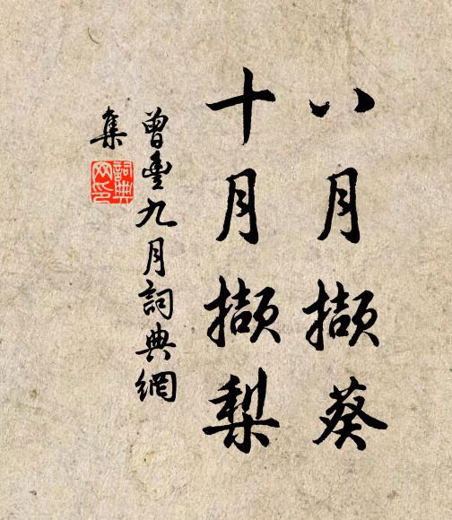 曾丰八月撷葵，十月撷梨书法作品欣赏