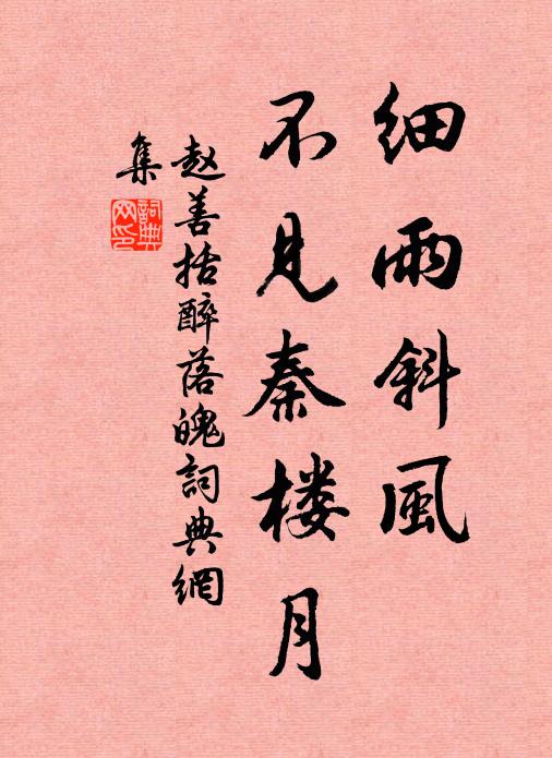 赵善括细雨斜风，不见秦楼月书法作品欣赏