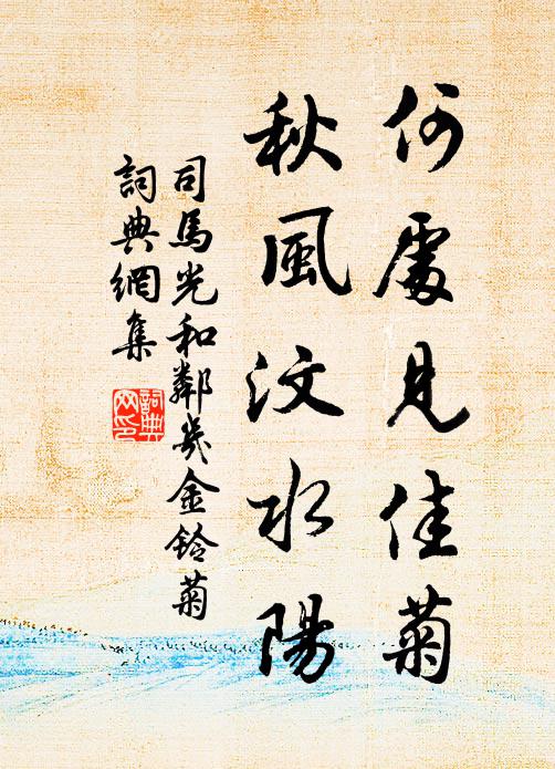 司马光何处见佳菊，秋风汶水阳书法作品欣赏