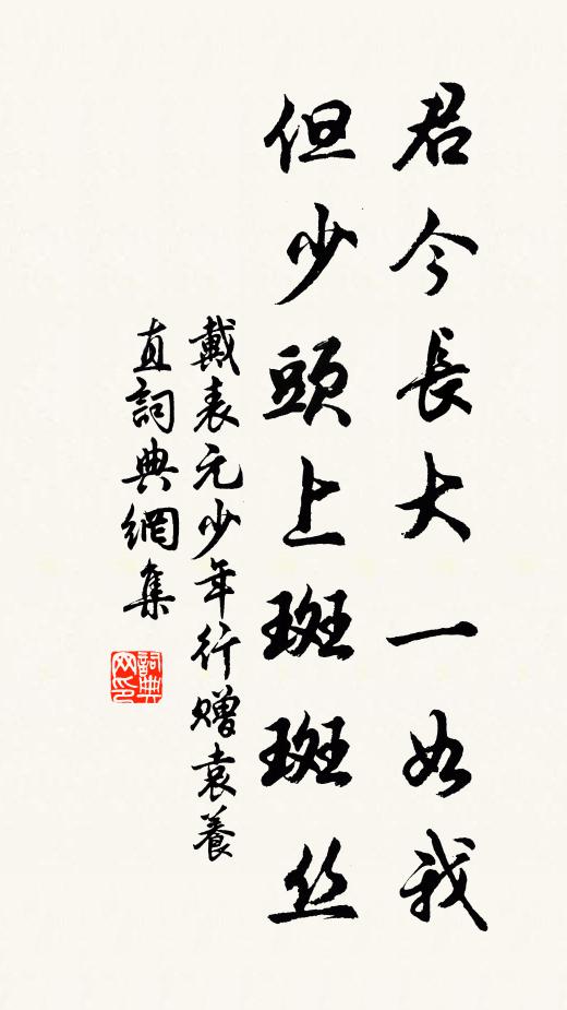 戴表元君今长大一如我，但少头上斑斑丝书法作品欣赏