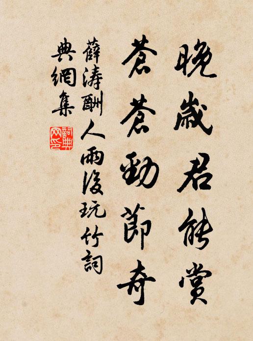 薛涛晚岁君能赏，苍苍劲节奇书法作品欣赏