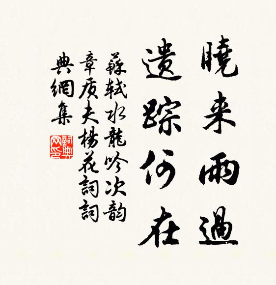 苏轼晓来雨过，遗踪何在？书法作品欣赏