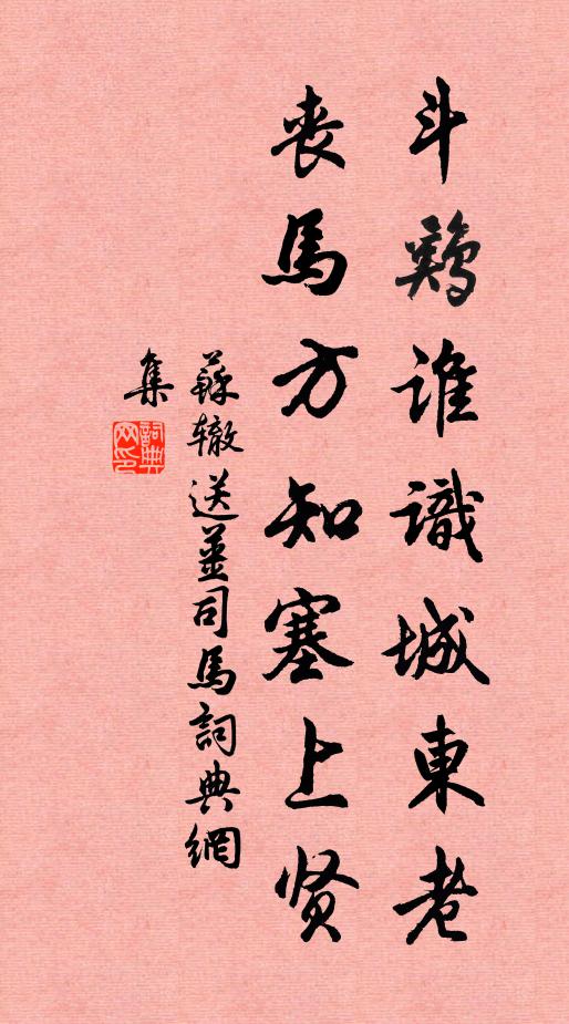 苏辙斗鸡谁识城东老，丧马方知塞上贤书法作品欣赏