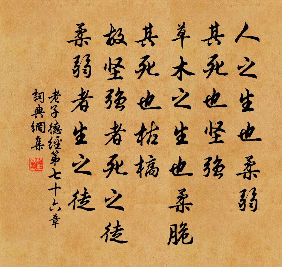 老子人之生也柔弱，其死也坚强。草木之生也柔脆，其死也枯槁。故坚强者死之徒，柔弱者生之徒。书法作品欣赏