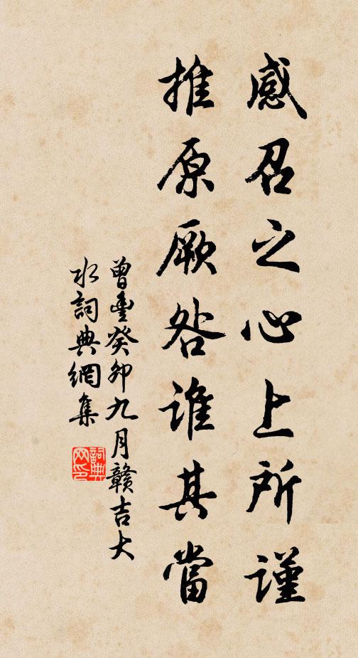 曾丰感召之心上所谨，推原厥咎谁其当书法作品欣赏