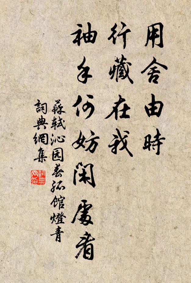 苏轼用舍由时,行藏在我,袖手何妨闲处看。书法作品欣赏