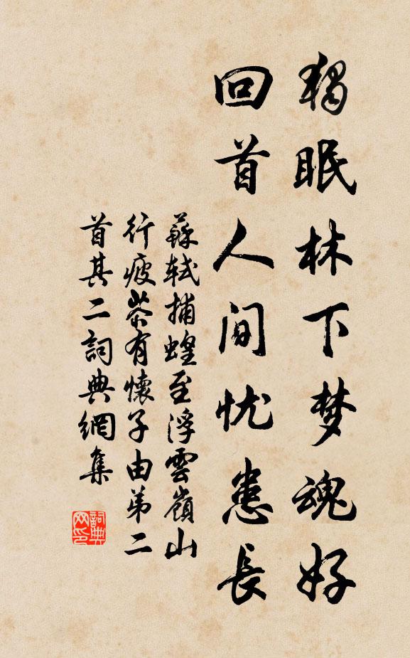苏轼独眠林下梦魂好，回首人间忧患长。书法作品欣赏