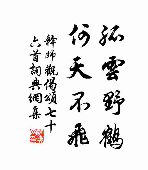 释师观孤云野鹤，何天不飞书法作品欣赏