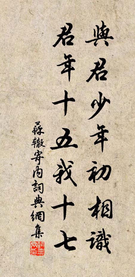 苏辙与君少年初相识，君年十五我十七书法作品欣赏