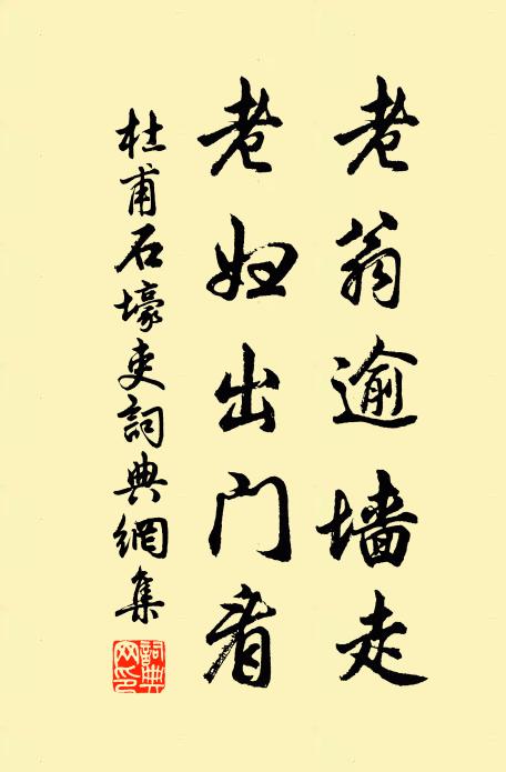 杜甫老翁逾墙走,老妇出门看。书法作品欣赏