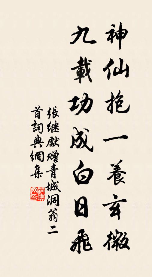 张继先神仙抱一养玄微，九载功成白日飞书法作品欣赏