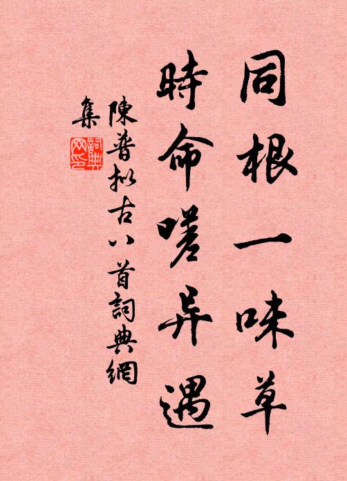 陈普同根一味草，时命嗟异遇书法作品欣赏
