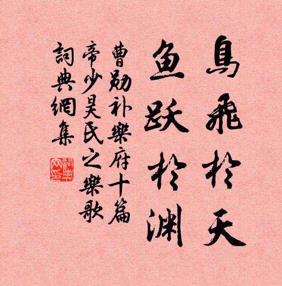 曹勋鸟飞于天，鱼跃于渊书法作品欣赏