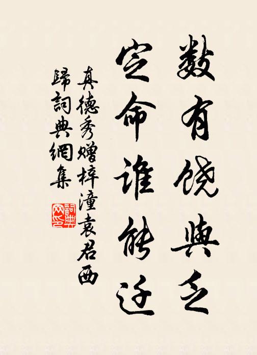 真德秀数有饶与乏，定命谁能迁书法作品欣赏