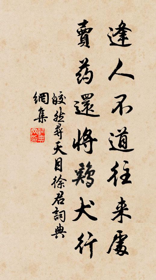 皎然逢人不道往来处，卖药还将鸡犬行书法作品欣赏