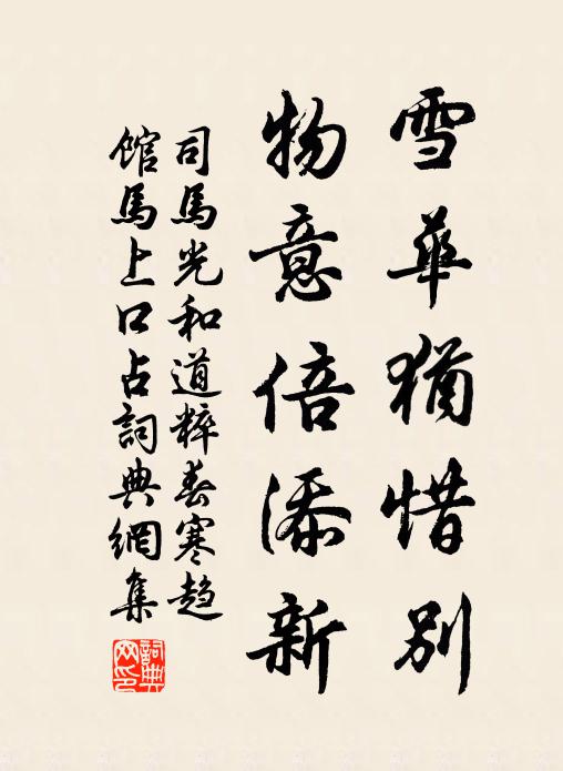 司马光雪华犹惜别，物意倍添新书法作品欣赏